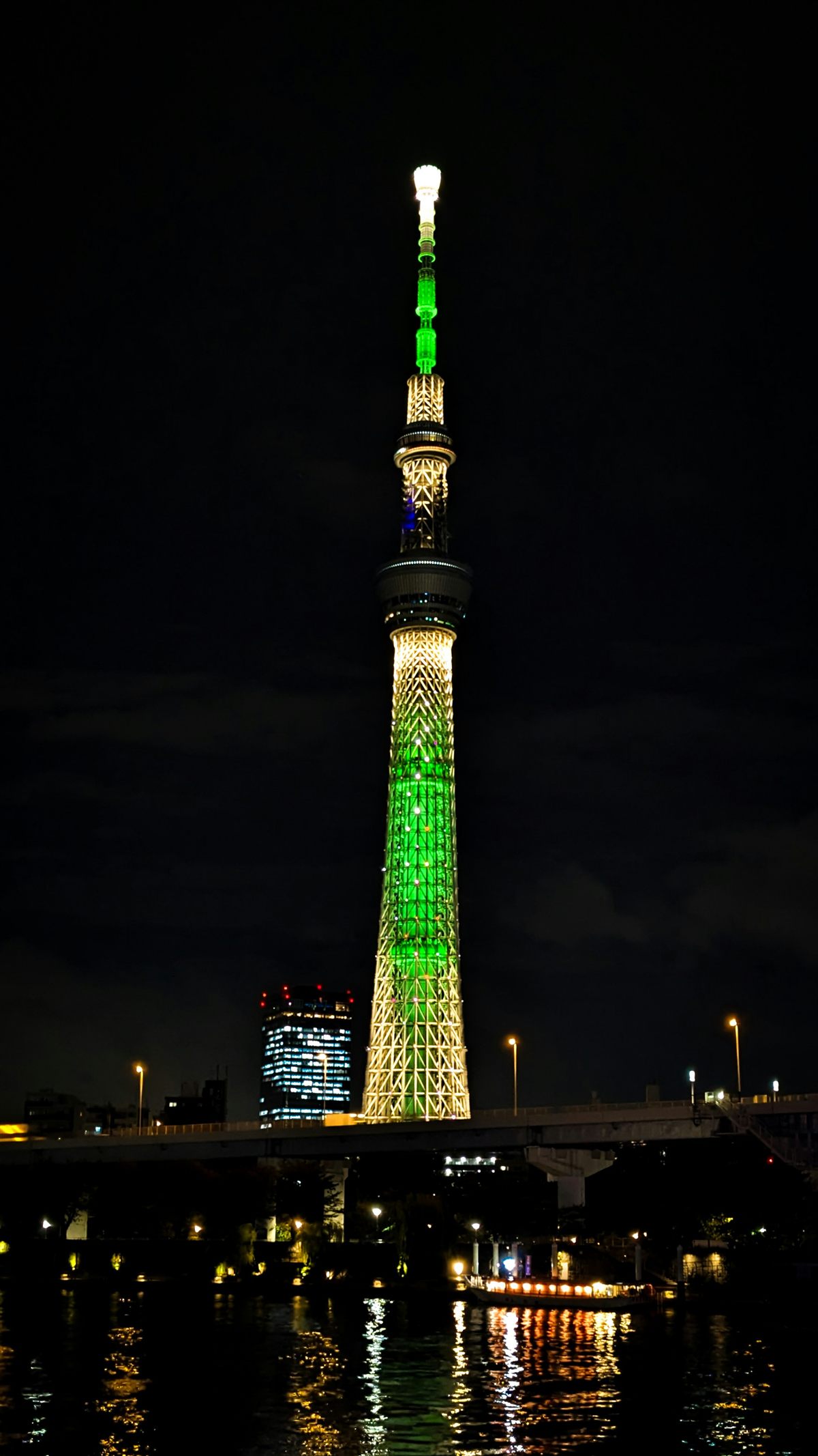 屋形船から望む隅田川と東京スカイツリーの夜景